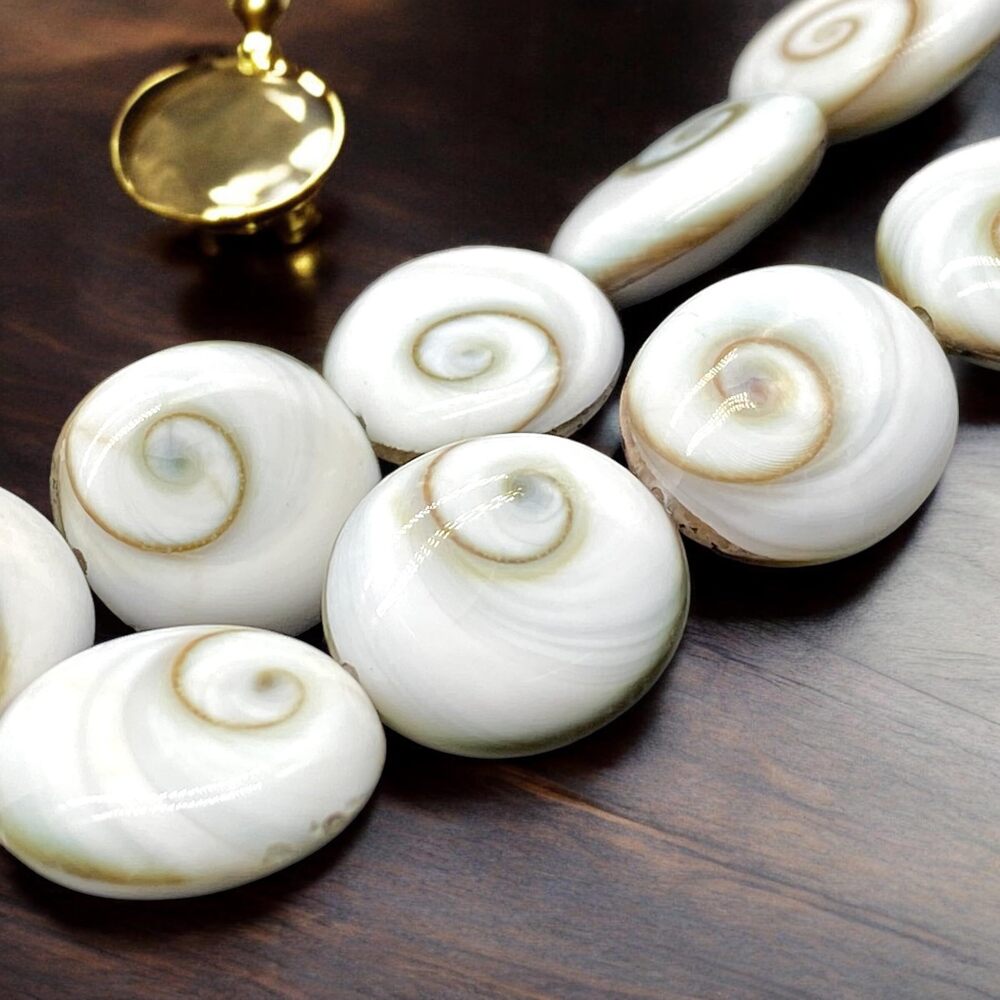 3365 ABCGEMS Premium-Grade Shiva Eye Shell Beads - Protective Door of Snail